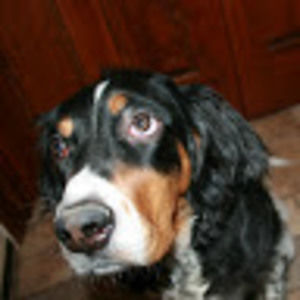 Meet your Posher, Colleen